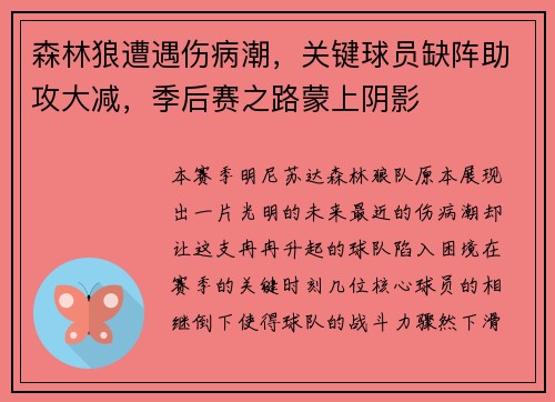 森林狼遭遇伤病潮，关键球员缺阵助攻大减，季后赛之路蒙上阴影